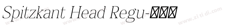 Spitzkant Head Regu字体转换